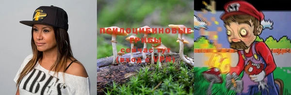 ПСИЛОЦИБИНОВЫЕ ГРИБЫ Волгодонск