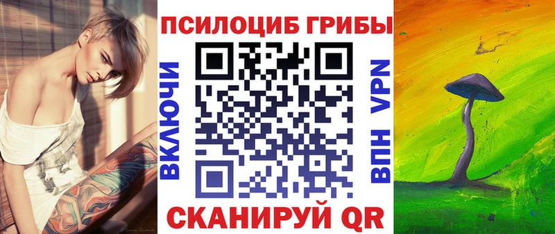Псилоцибиновые грибы Cubensis  цены   Белая Калитва 